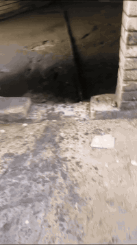 سلام عليكم ورحمة الله وبركاته شلونكم خوان نشتغل داخل البصره شقلنه تصليطه صطح وصبت تضافه وشغل درجه وله ***********
