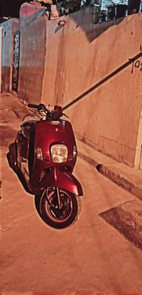 بوليس نوزل • ماروني • كوفه