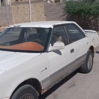 شيزر • ٢٠١٤ • رقم بصره