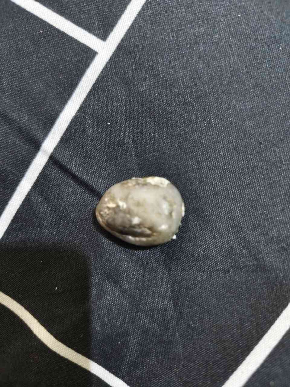 سلام عليكم خرز للبيع كلمن الو سعره


**إذا كنت صاحب هذا الإعلان وتريد حذفه لأي سبب، رجاءا أرسل رسالة إلى الدعم الفني**