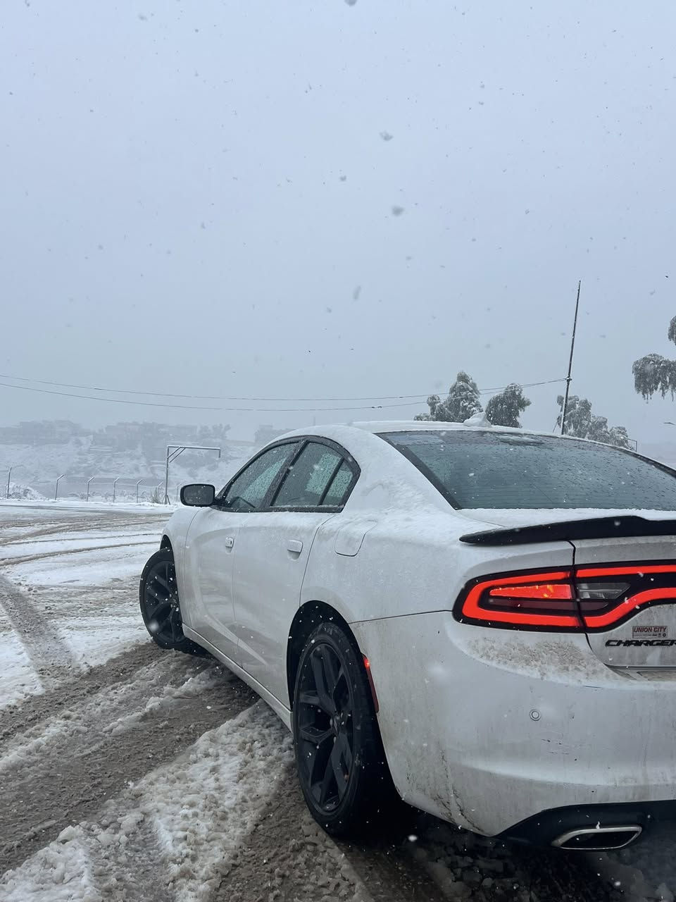 جارجر النداء الاخير 

Sxt  بلاك توب بلاك ادشن 

 شاشة جبيرة 

حساسات 

نظام سستم صوت الباين 

اني مستوردها  بشهر العاشر دخلت 

حادث بسيط مكفوله من التبديل والفتح . 

تصليح درجة اولى 

لايت اصلي ودعامية اصليه وجميع الملحقات  اصليه  

صبغ شبر بلجاملغ بدون معجون كارت وشبر خشم البونيد. مبين بصور الحادث 
رقم اربيل بسمي


**إذا كنت صاحب هذا الإعلان وتريد حذفه لأي سبب، رجاءا أرسل رسالة إلى الدعم الفني**