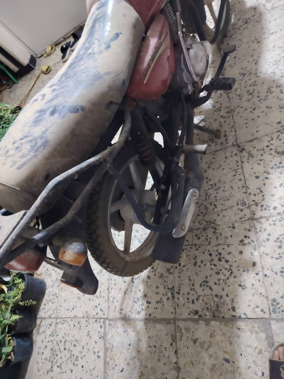 سلام عليكم بوكسيم للبيع شبيه البوكسر
متروكه صاله ب ٦ سنين كير مكينه كهربائيات شاصي كفاله
اني شغلته و طلع كابريتر موزين وطفت كبال عينك دراجه مكينه بلجيس تايرات كله جديده سعر ٦٥٠
مكاني بغداد الامين
رقمي ***********
