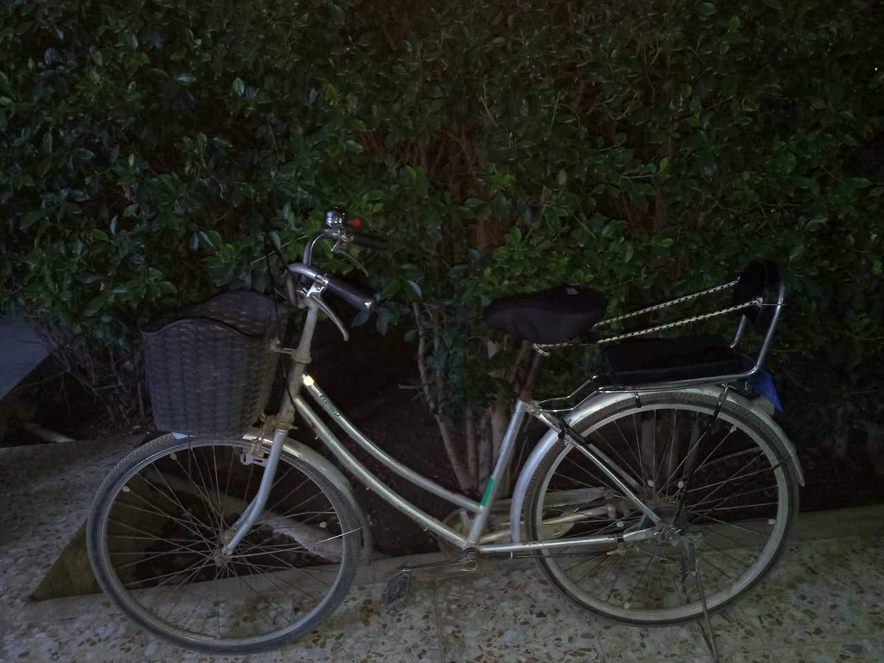 بايسكل للبيع حجم 26 مابي نقص رايده ب65


**إذا كنت صاحب هذا الإعلان وتريد حذفه لأي سبب، رجاءا أرسل رسالة إلى الدعم الفني**