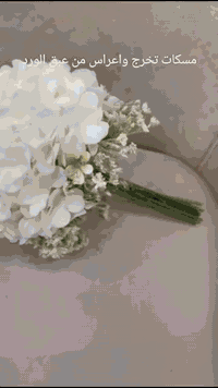 تحقق ماكان بالأمس حلما....عبق الورد تشارككم أفراحكم بالتخرج أو الاعراس...وتقدم لكم احلى المسكات بأسعار مناسبة نستقبل طلباتكم طيلة أيام الأسبوع
العنوان: بغداد - حي القاهرة - شارع مخابز الخير 2 - مجاور كلية الرافدين لطب الأسنان
للطلب والاستفسار الاتصال على الرقم : *********** 
أو مراسلة صفحة الانستكرام 
https://www.instagram.com/eabaq_flower?igsh=MWZwbHFxemt5djQyMQ==
أو صفحة الفيس بوك
https://www.facebook.com/share/p/16o6ar2snW/
يوجد توصيل داخل بغداد للورد الطبيعي وكل المحافظات للورد الصناعي
#ورد -طبيعي#اكسبلور#ترند#العراق
