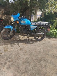 دايوان • موديل 19 • بدون اوراق