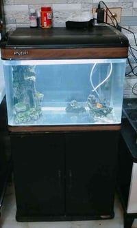 حوض • أغراضه • كربلاء