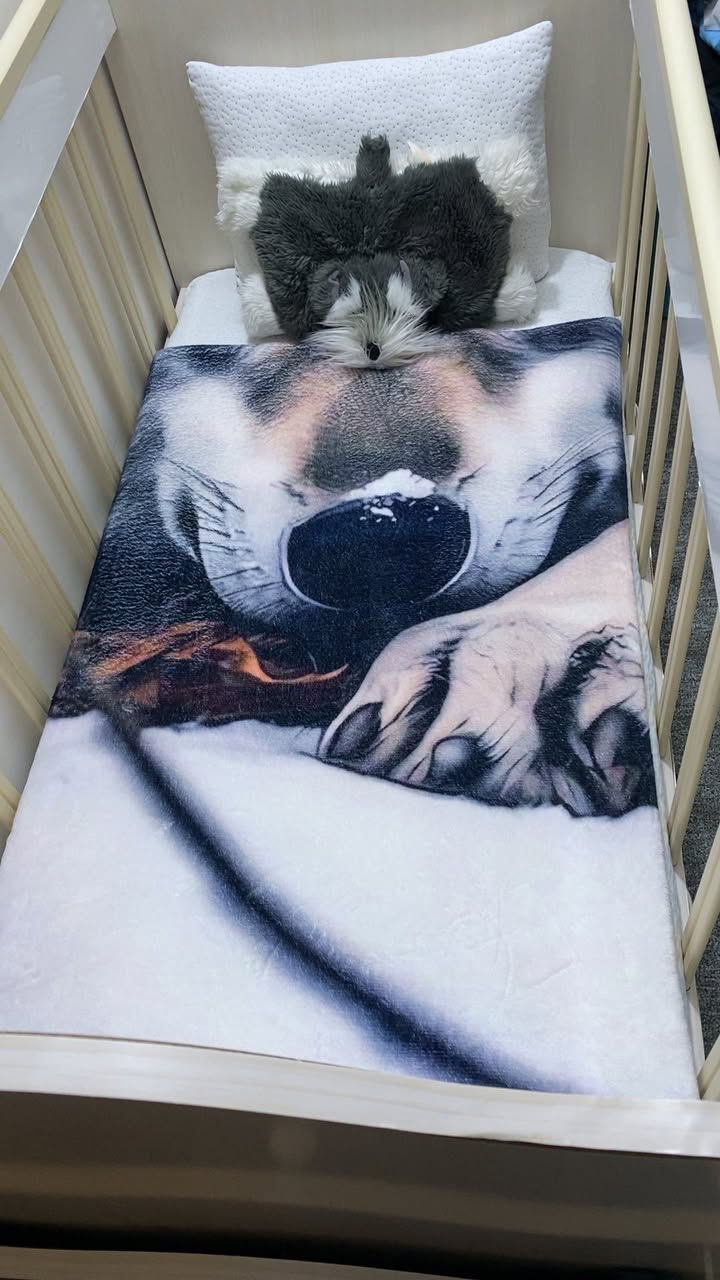 سلام عليكم كاربت للبيع لون جوزي غامق ٣ونص في ٤ونص قياسه مع سرير طفل يكفي من حديث ولاده لحد العمر ١٠سنه ولي بعد قطعه تكبيره يتكبير ويتصغر نضيف جدا الشراي فقط يدخل خاص او يعلق مكاني بابل البكرلي


**إذا كنت صاحب هذا الإعلان وتريد حذفه لأي سبب، رجاءا أرسل رسالة إلى الدعم الفني**