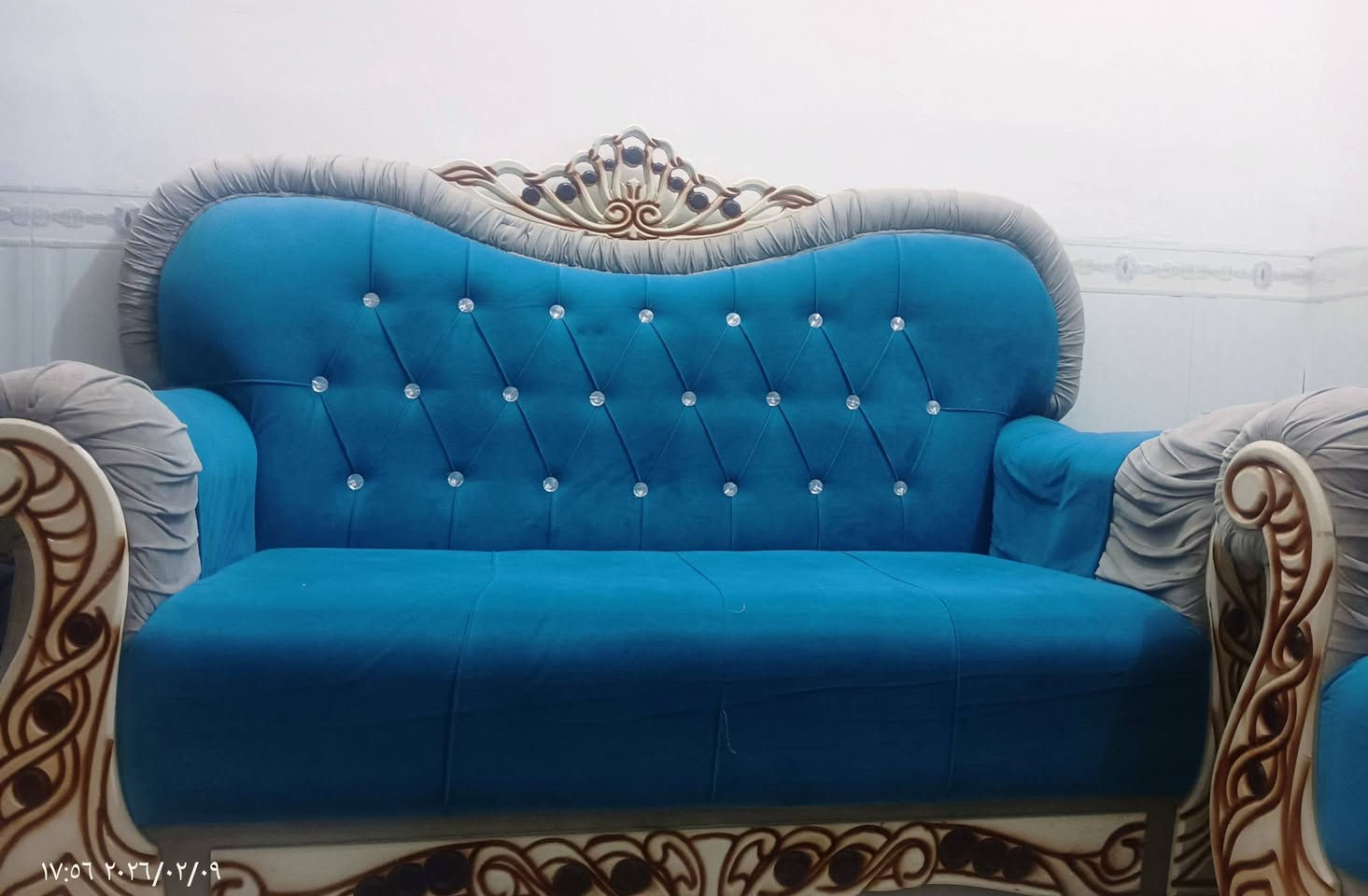 تخم خمس قطع  للبيع ***********
