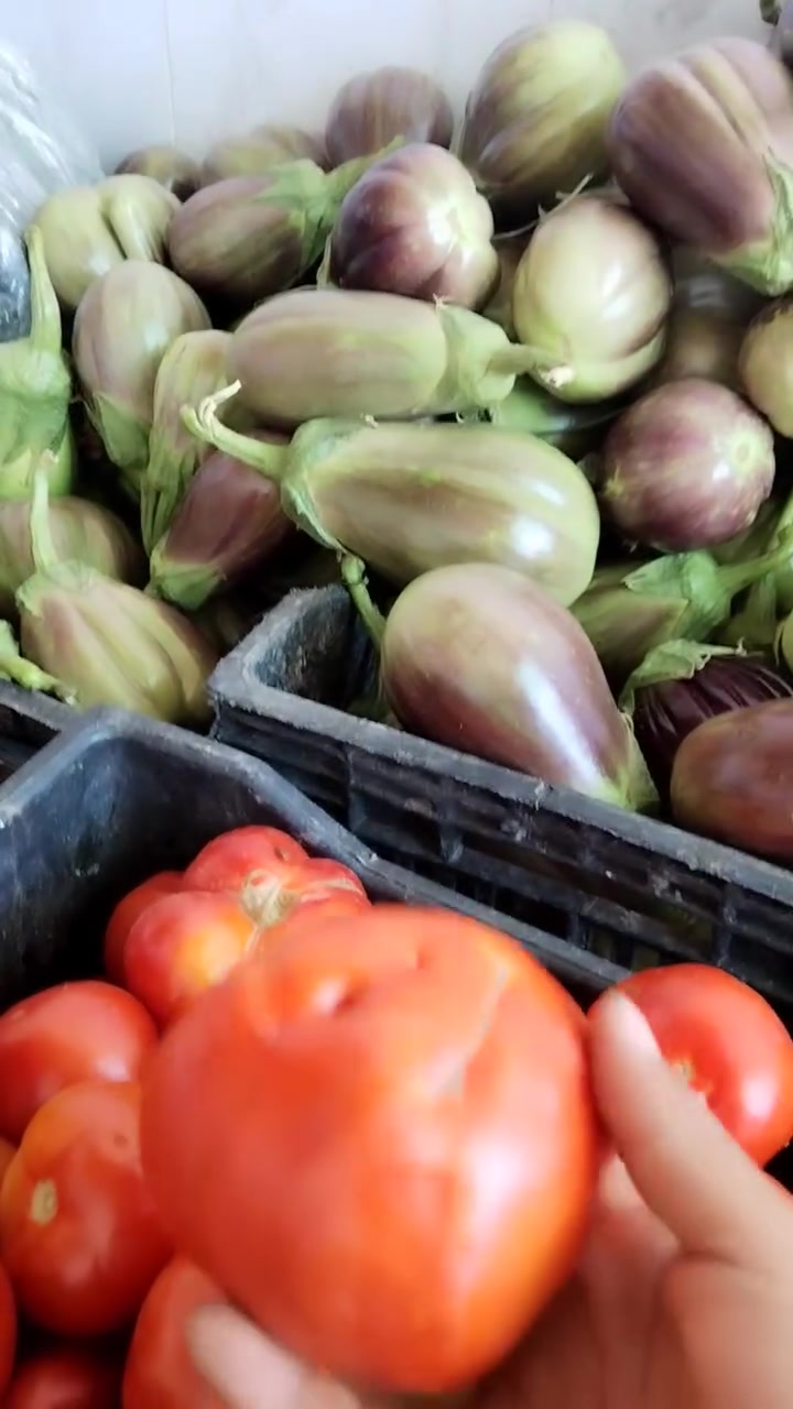 صندوك طماطه 28 كيلو ب 4000 دينار وحياكم الله 🍅🍅🍅🍅🍅🍅


**إذا كنت صاحب هذا الإعلان وتريد حذفه لأي سبب، رجاءا أرسل رسالة إلى الدعم الفني**