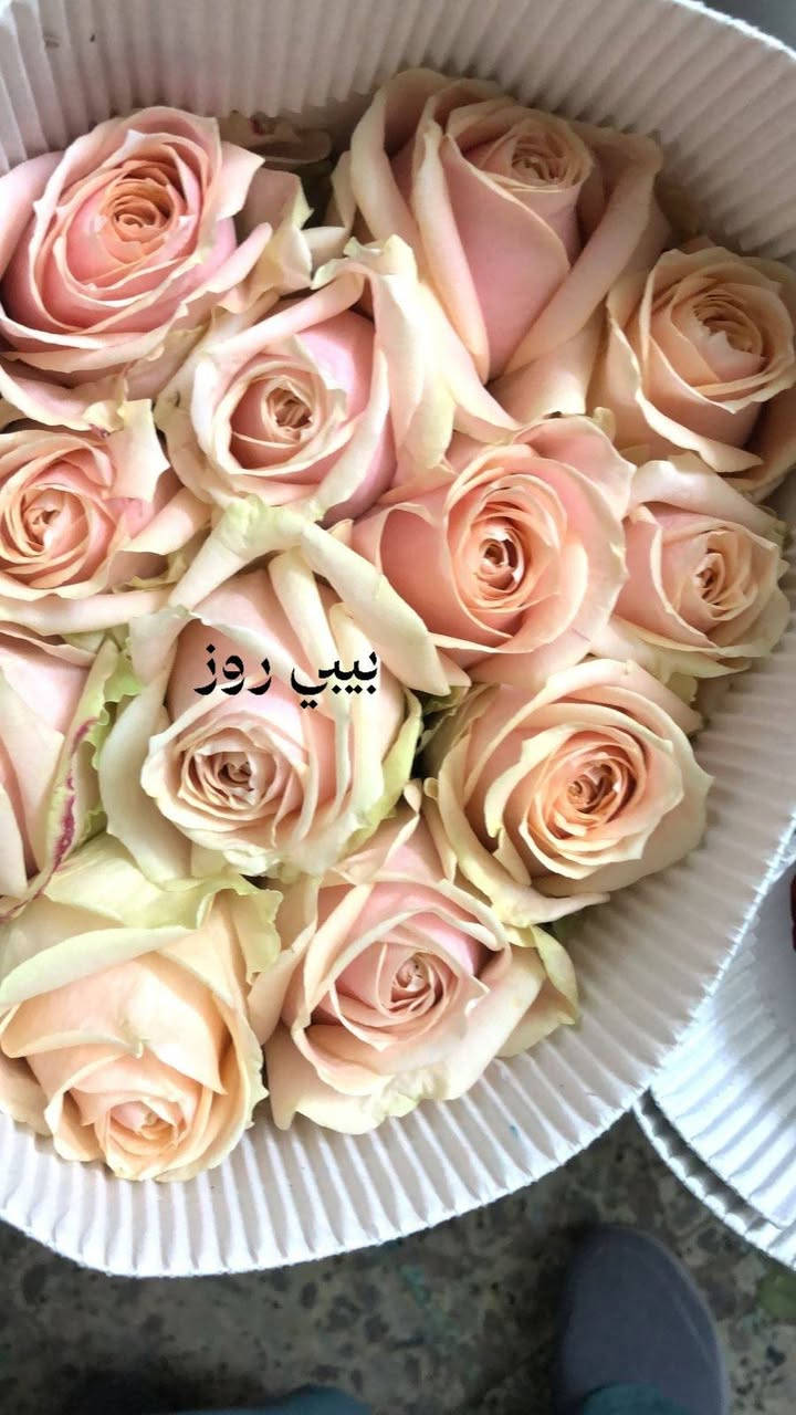 😊 #للتواصل مع *محل #بيبي #روز

#الموقع #الرفاعي، قرب #الجامعة #سومر
: باقات ورد #طبيعية، تنسيق حفلات، هدايا 🎁
- *التوصيل*: متوفر داخل الرفاعي 📍
- *رقم الهاتف *********** ]
