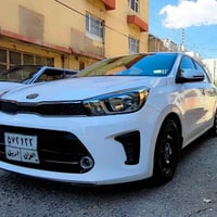 بيگاس ٢٠٢٠ • بدون صبغ • خليجي