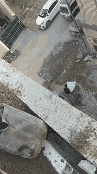 لتصعيد كافة مواد ونج البناء وأعمال الزفت عندك تصعيد بس اتصل ععلى الارقام او مراسلة واتساب 0774 243 0295 
*********** والباقي علينا تصعيد جميع مواد البناء بسرعه وجوده عاليه والحفاظ على المواد من التكسير كما موضح بالفيديو وطوابق عاليه كل العليك تتصل وتسلم بيتك بأيدي امينه تحافظ عل المواد واسعار مناسبه وترتيب بالعمل ودقه عاليه شاهد واحكم بنفسك ايضا مستعدون باعمال الزفت  والاساس بنايات عاليه بيوت كله يمنا
#طابوق
#بناء
#مقاولات
#مقاولات_عامه
#عقارات
#بيوت
#بنايات
#خلفات_بناء
#لبخ
#خلفات
#ونج
#زفت
#مهندسين
#كربلاء
#بغداد
كروب بناء وخلف بابل الحله كروب خلفات بناء في كربلاء� 
كروب خلف بابل الحلة للبناء كروب خلف ومقاولين محافظة بابل 
كروب خلفات العراق
