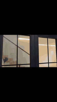 جزء من عمل شركه دجلة التنضيف الموقعي احد مواقعنا في محافظة الدوانية التقيه الثالثه مجمع السالم دار 301 الحجز والاستفسار مراسله الصفحه او تصال علا الـهاتف 
*********** ❤️ 
تصال . واتساب 

✨ ورشة دجـلة لتنظيف الموقعي والتعزيل ✨
وجمع واعادة تـدوير النفايات 

نقدّم خدماتنا المميزة:
 🏠 تنظيف وتعزيل البيوت والفلل 🏢 تنظيف المكاتب والمشافي 🧹 شطف الأدراج وتعقيم كامل

✅ سرعة – دقة – أسعار مناسبة للجميع

📞 للتواصل:
*********** هاتف . واتساب 
متواجدين في محافظة الدوانية 
اقضيه ونواحي
#تنضيف كافه 
#مناطق الـديوانية
