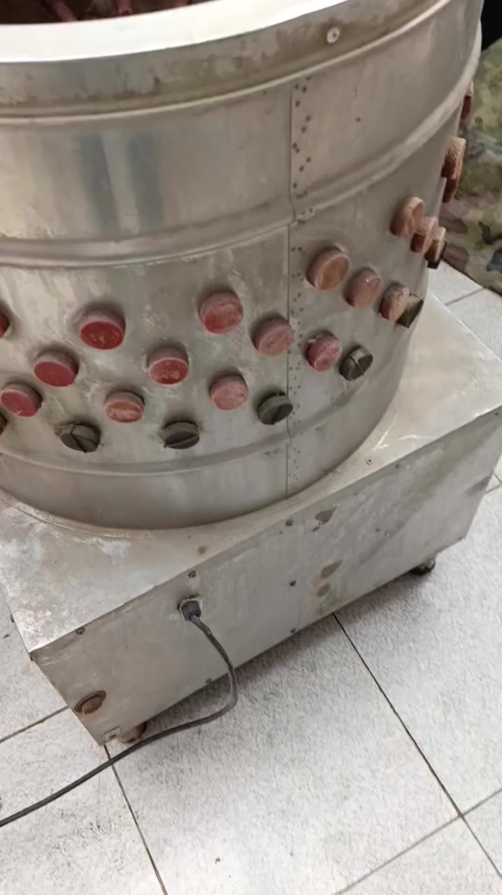 هلاسة دجاج للبيع سعر 150
مكاني الناصرية


**إذا كنت صاحب هذا الإعلان وتريد حذفه لأي سبب، رجاءا أرسل رسالة إلى الدعم الفني**