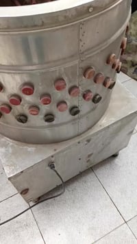 هلاسة دجاج • الناصرية