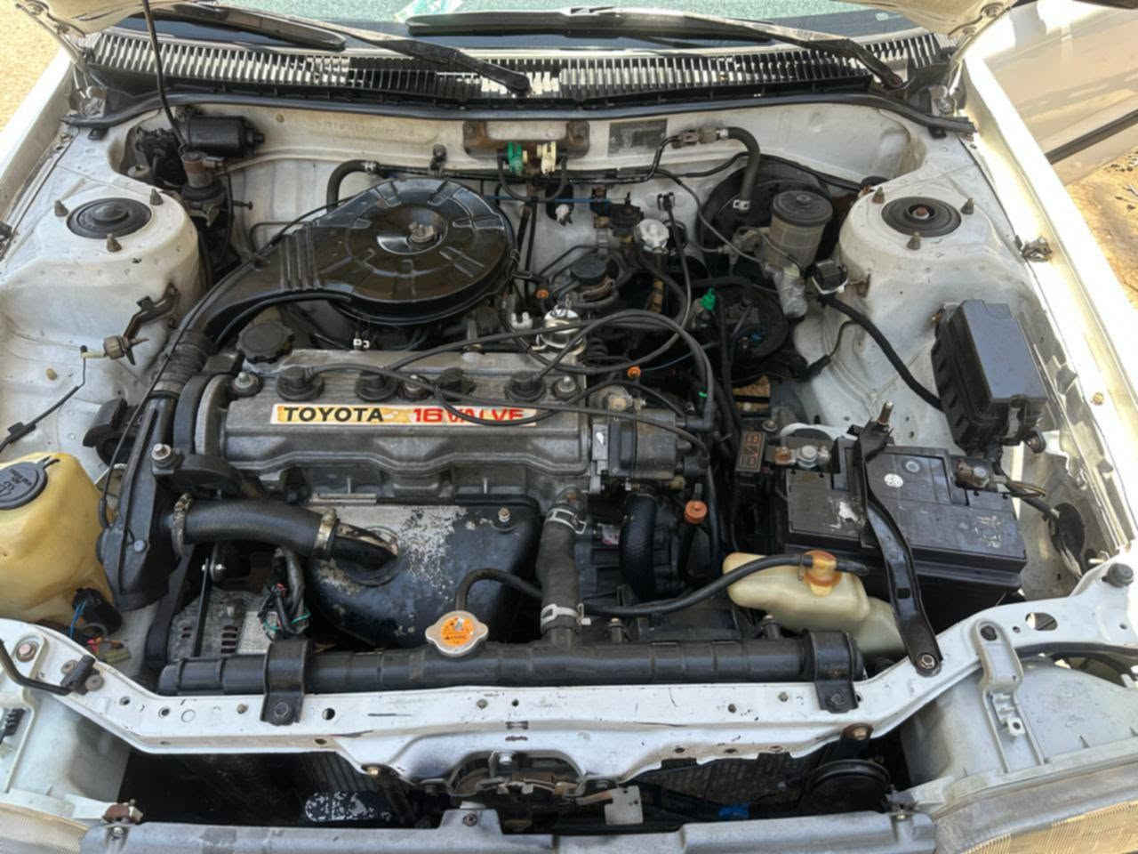 كورلا ايسر بلاد موديل 92 سنويه ما ساقطه سياره على وضع الشركه  كير ومكينه مكفولات تخم تاير حداديه

*********** رقم صاحب سياره 
السعر 55
مكان سياره العماره ميسان
