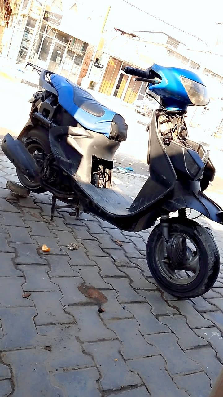 سلام عليكم فراشة الربيع وفل ما فتوحة ناعمة نكرة سلف نكرة هندر  مكاني نجف الهورنات موياهن السعر 275بيهة مجال الشراي بي خير ودلل رقمي ***********
