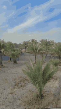 كربلاء • أرض • ناحية الامام عون