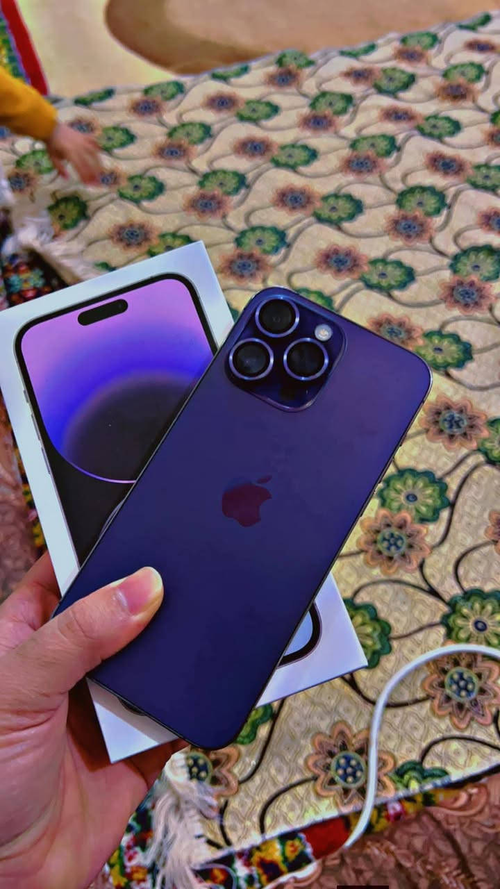 السلام عليكم
ايفون ١٤برو ماكس 
ذاكره 256
نضيف حيل 
بطاريه ٩١ 
مامفتوح وتر بروف
التواصل ع الخاص


**إذا كنت صاحب هذا الإعلان وتريد حذفه لأي سبب، رجاءا أرسل رسالة إلى الدعم الفني**