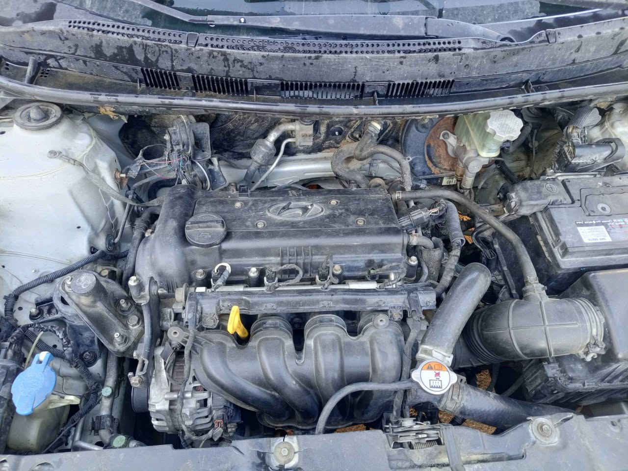 السلام عليكم اكسنت موديل 13بسمي خليجي سياره مكينه 1600 كير حداديه دوشمه كاعيه نظيفات تخم تاير سلف دينمه باتري تبريد عايز غاز فقط بيه 4قطع صبغ بدون دواخل اثر جراد سعر 80بيه مجال مكان سياره طوريج رقم هاتف ***********
