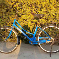 بايسكل للبيع بناتي اصلي مال باله السعر 80 الف للاستفسار الرقم 07751667...