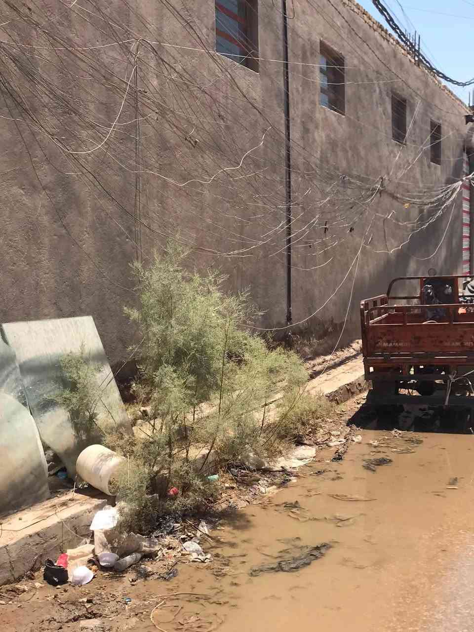 سلام عليكم اخوان كادر لتصفية وترتيب وايرات المولدات التالف والمتروك كله نلغي يبقه بس الشغال وتصير مثل الضفيره اشتغل بكل المحافضات هوايه ناس خربت بشغلهة بس اني اخلي يمك هويات او سنويه سياره وغراضي كلهة تبقه يمك لحد ما اخلص اتصل وتأمر ***********
