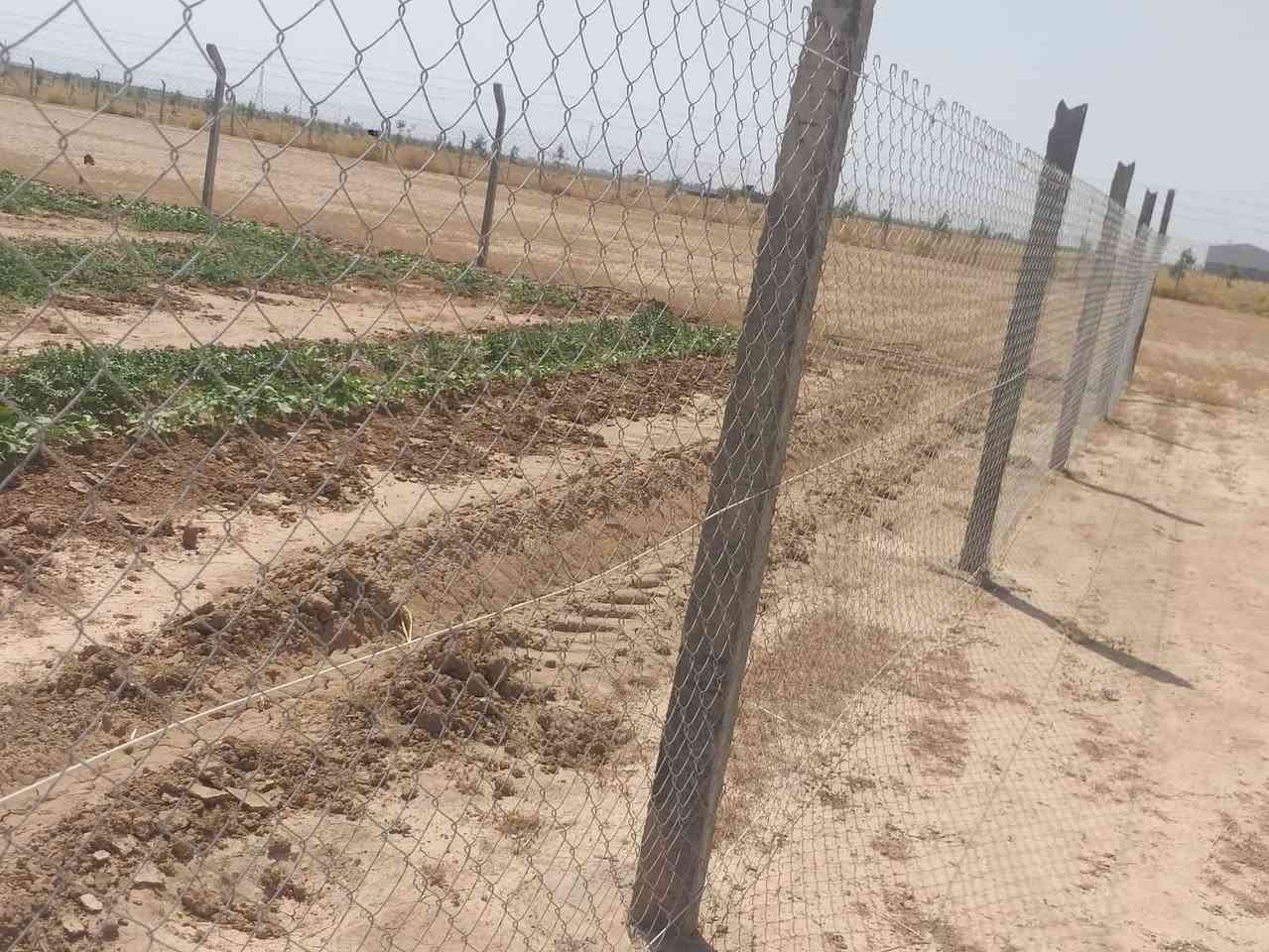 السلام عليكم مزرعه دونم عل حولي مال العلم صلاح الدين للبيع مسيجه بي ارسي بيها خزان ماء كبير وكرفان غرفه ونص جاهزه من كلشي الشراي يستعجل قبل لاتفوتك الفرصه ***********
