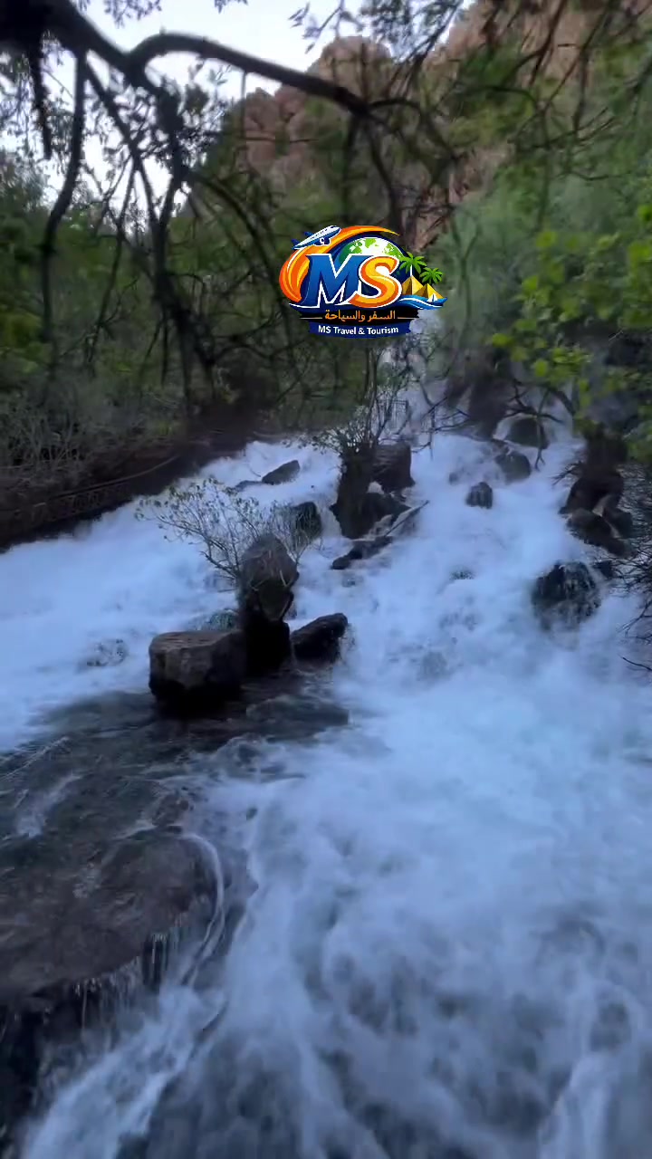 🌸 رحلات عيد الأضحى المبارك – شركة MS للسفر والسياحة  
📍 الوجهة: مصيف أحمده + برنامج ديوان  
🗓️ الأيام: أول، ثاني، ثالث، ورابع أيام العيد  
🕓 الانطلاق: 4:00 صباحًا  
🕔 العودة: 5:00 مساءً  
💰 السعر: فقط 20,000 دينار  

✨ استمتعوا بأجواء الطبيعة الساحرة في مصيف أحمده وبرنامج ديوان المميز  
⏳ المقاعد محدودة – احجز الآن واستمتع برحلة لا تُنسى!  

📞 للحجز والاستفسار: ***********
 #لاتفوتكم_عروضنا_الخاصة_وسفراتنا_المميزة
