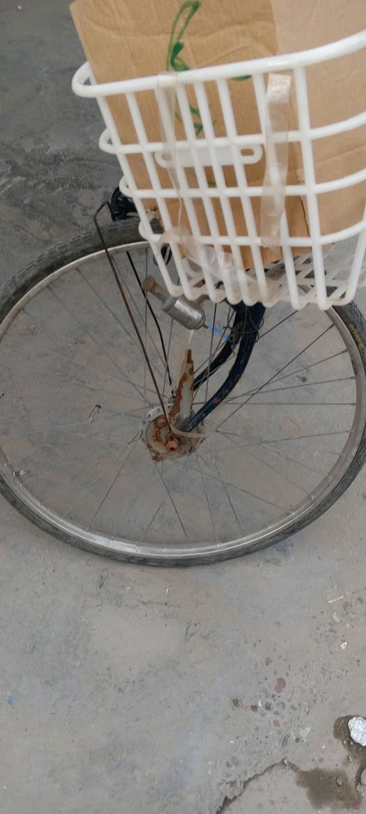 السلام عليكم من رخصة الادمن بايسكل إنكليزي للبيع ويلات ستيل بطيخة ام الصجم بس يرادلة تصليح البريكات وجاملث امامي الي رائدة يجي خاص قيمة وتعال


**إذا كنت صاحب هذا الإعلان وتريد حذفه لأي سبب، رجاءا أرسل رسالة إلى الدعم الفني**