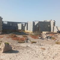 هيكل زراعي • ٢٠٠م • بل حلاميه