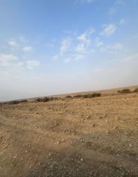 ارض زراعية • ١٢٠ دونم • سحراويه