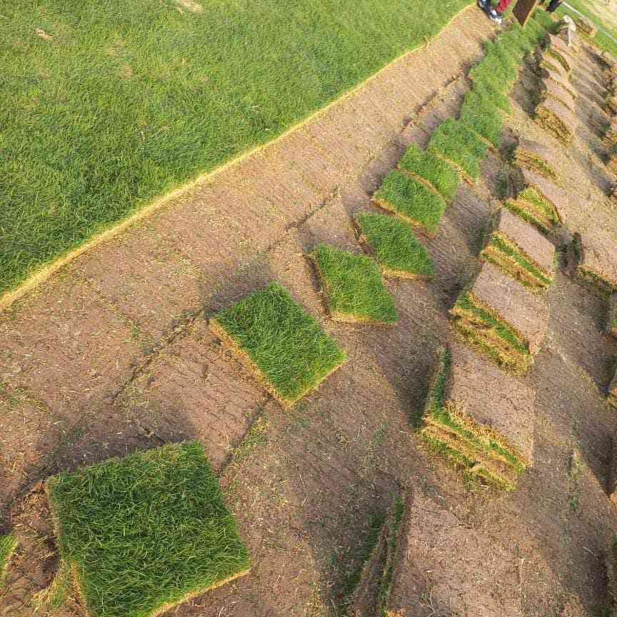 #الخبرة  في زراعة الثيل الطبيعي
زبائننا الكرام 
متوفر كافة انواع الثيل الطبيعي 
الثيل الامريكي🌿الثيل الهندي🌿الثيل الايطالي 🌿الثيل الفرنسي
مع كادر مختص يجيك لباب بيتك
بسعر مناسب وكفاءة عالية
نجهز كل انواع الحدائق
والملاعب والمتنزهات 
والمشاتل ودوائر الدولة
الاسعار تختلف بختلاف النوع

للطلب او الاستفسار التواصل مع الصفحة او الاتصال على الرقم 

***********
***********
