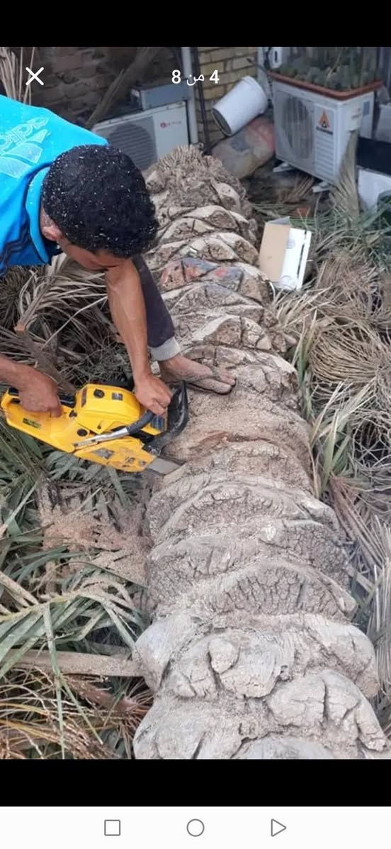 قصنا خلف قص ايجار ***********
