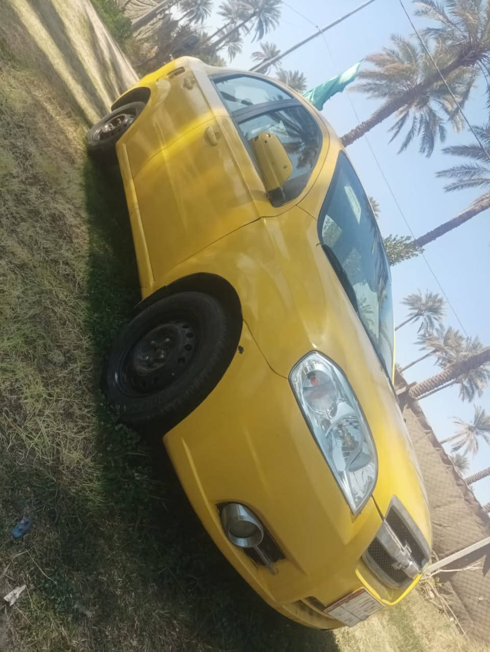 2008
حلوه وجاهزه يرادلها مكينه وضفيره باقي كفاله. بسمي كله مصفر
***********
