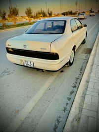 فامليا • مصبوغة • واسط كوت