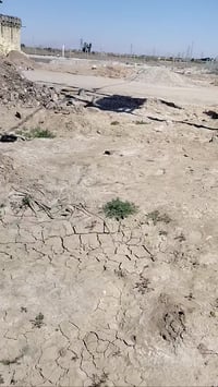 مجمع الطلقاني • ٢٥٠م • واجهة ١٢×٢٠