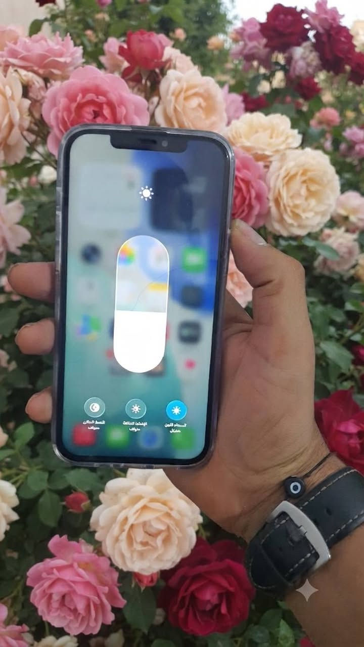 12برو ماكس دين ماباقي براسه  ذاكره 256
كامرات بس وحده واكفه بلقيه شغالات فيس ايدي بلتحديث وكف
مبدل شاشه تفصيخ وبطاريه بقيه كله ع فحص بيه فطر بشاشه مبين عنوان فلوجه سعره 220وبيه مجال


**إذا كنت صاحب هذا الإعلان وتريد حذفه لأي سبب، رجاءا أرسل رسالة إلى الدعم الفني**