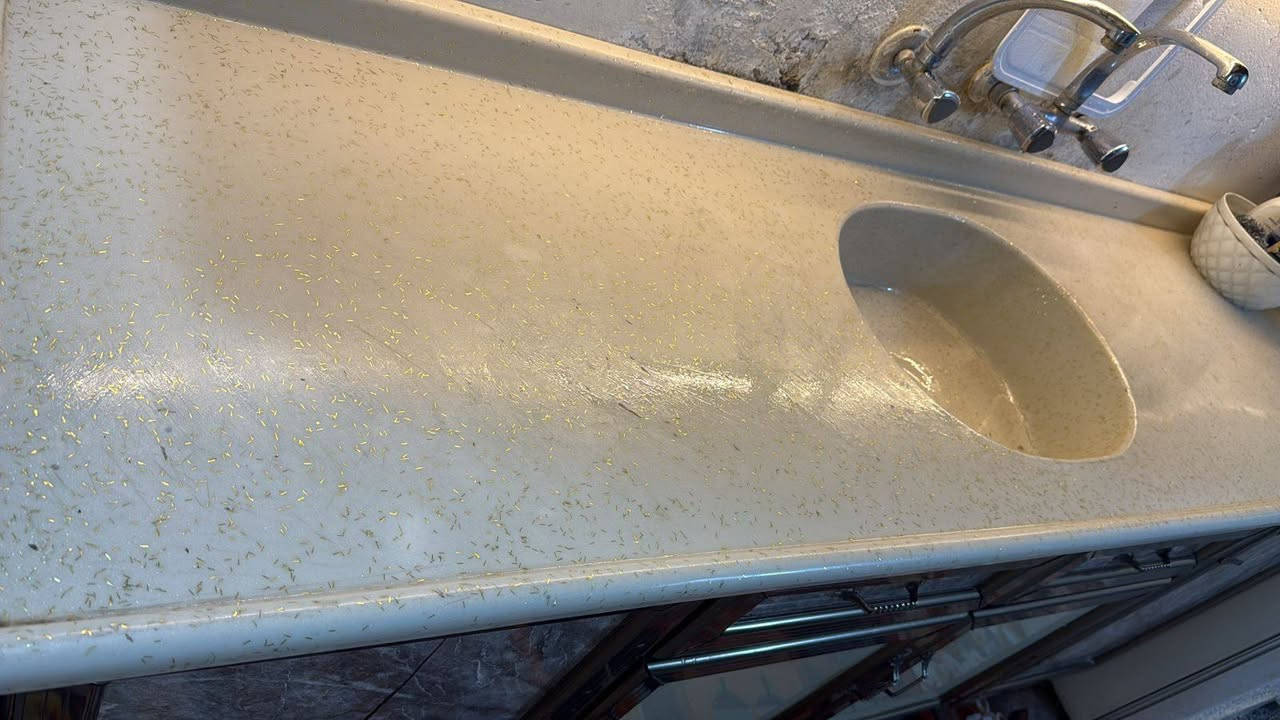 كاونتر جديد مرمر سعر 200 قفل ميز طعام وياا 6 كراسي سعر 325 مكاني زعفرانية


**إذا كنت صاحب هذا الإعلان وتريد حذفه لأي سبب، رجاءا أرسل رسالة إلى الدعم الفني**