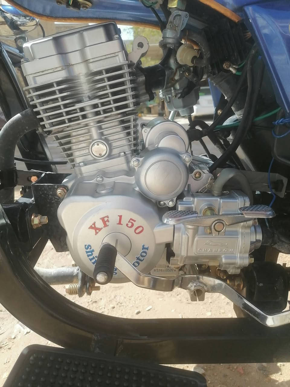 ستوته جمره فحل باب اول صاله شهر من طالعه من الوكيل أوراق اصولي بسمي شرط مداورر
ستوته نضيف ومال جناي بس الله شاهد عندي مريض يرادله عمليه هلي اريد ابيعه وبلعافيه عل ياخذه وهذني ارقامي واني خادم
***********
***********
