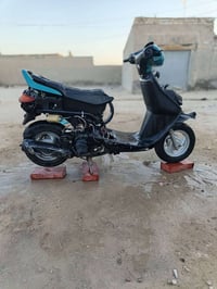 فراشه • فحل • براكيه