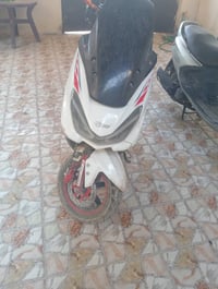 منغولي • نضيفة • ستاند مكسور