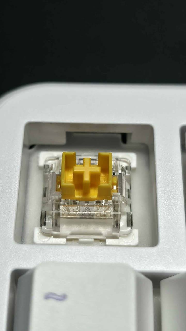 کوردی/ العربية
​بۆ فرۆشتن کیبۆردی Ajazz ak820 Magnetic (wired) ⌨️
للبيع كيبورد Ajazz ak820 Magnetic (wired) ⌨️
​نوێیە بەکار نەهاتووە 📦
نرخ ٦٠ هەزار 💰
گەیاندن بۆ هەموو شوێنێک هەیە 🚚
​✨️العربية
جديد غير مستخدم 📦
السعر 60,000 دينار 💰
التوصيل متوفر لجميع المناطق 🚚 أربيل, العراق


**إذا كنت صاحب هذا الإعلان وتريد حذفه لأي سبب، رجاءا أرسل رسالة إلى الدعم الفني**