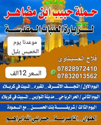 النجف الاشرف • كربلاء ليلتين • زيارة العلوية