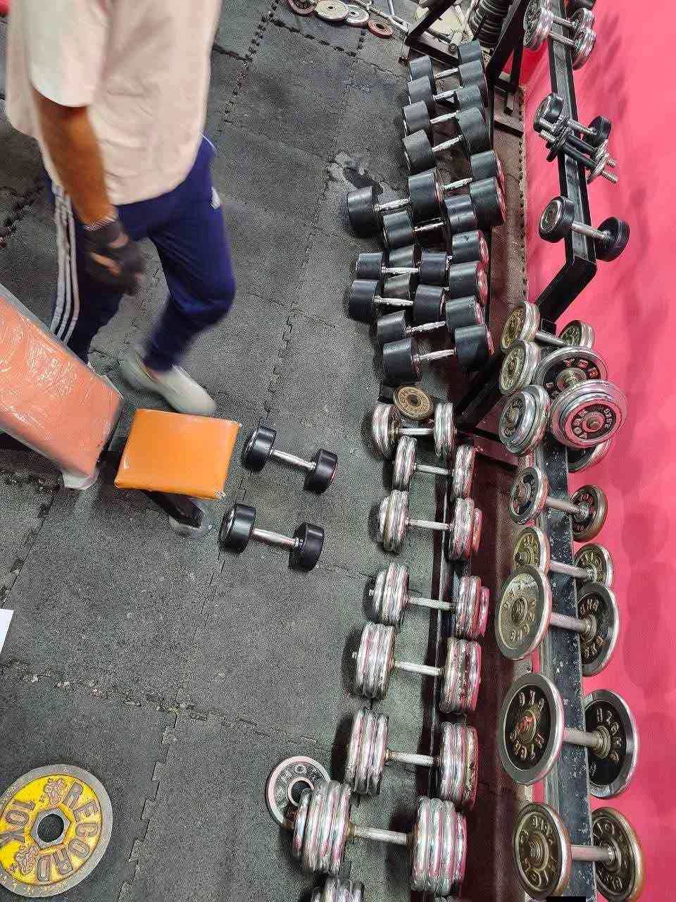 بسم الله وعلى بركة الله
ثم بأدارة الكابتن ياسر السامرائي
مع قاعة جم الخضراء المطورة حديثآ 💪
ومع بدء موسم فصل الصيف جدد واشتري صحتك وبسعر اشتراك مناسب جدآ جدآ ب((٢٠)) الف فقط شهريآ شامل كورس الكابتن والاشراف على الاعب اثناء وبعد التمرين

2.كما يوجد اشتراك يومي ((٢٠٠٠)) دينار فقط

العنوان (سامراء)❤️ ، نهاية حي الخضراء الثانية ، على شارع حولي الخضراء المثنى ، بجوار الضريبة فوق اسواق الخليج  .

القاعة مفتوحة على مدار الاسبوع بلا توقف ولا عطل من الساعة الثالثة عصرآ الى الساعة 12 ليلآ .
للتواصل والاتصال***********
وأهلا بالجميع

