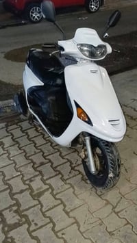 فراشة • فحل • سلف