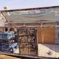 ديكور منزلي • قطع ديكور • اكسسوار بيت