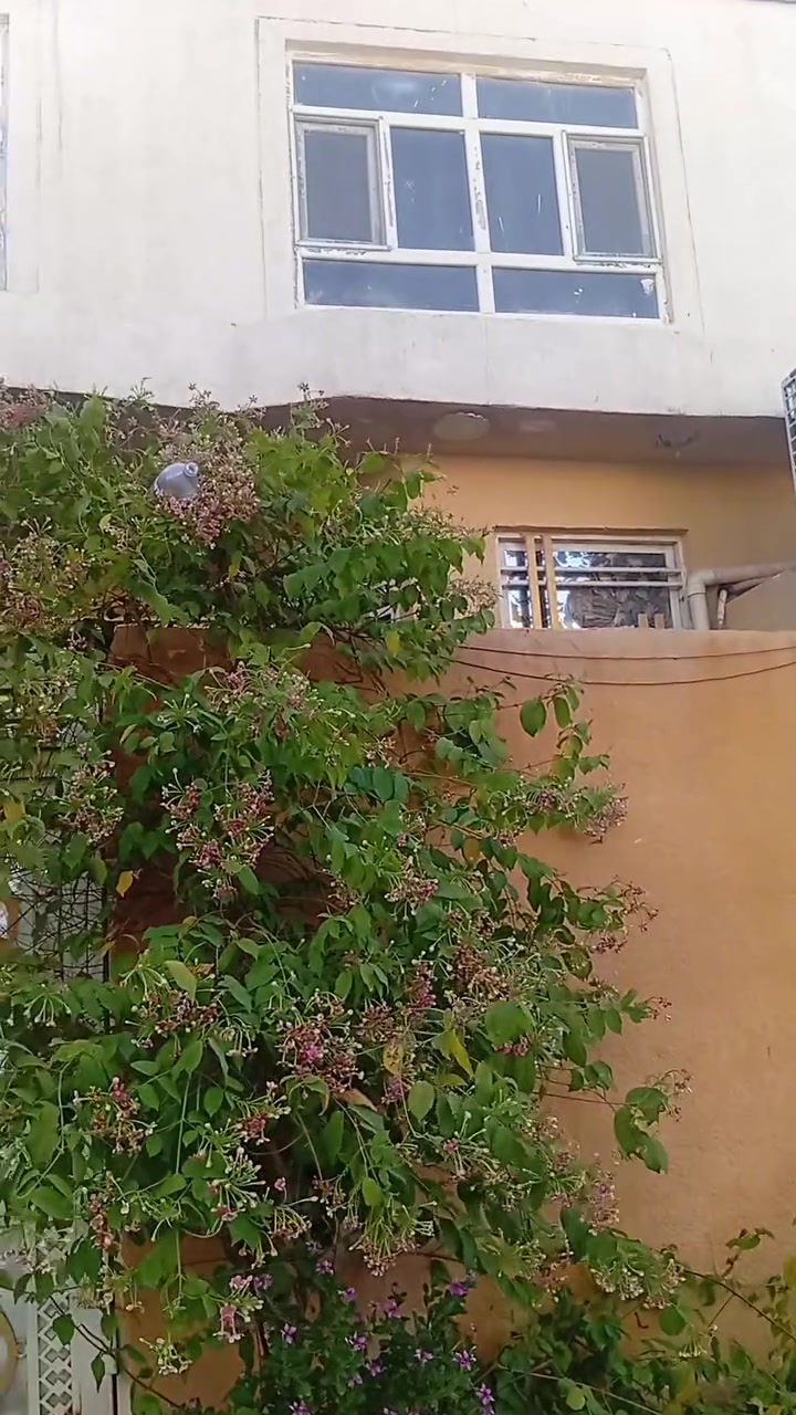 العنوان كربلاء المعملجي مابين مستشفى الوارث والعاب النوارس الفرع مقابيل قاعة السلطان 3دقائق عن الامام الحسين مشي للامام نصف ساعة متوفر خط نقل سيارات لراس الشارع.
دار 100م واجهة 6وربع م ونزال 16م يتكون طابق ونصف بناء حديث سنة 2022 البيت كلة جديد يتكون من غرفتين نوم وحدة بالارضي وحدة بالطابق الثاني أيضاً صالات عدد 2 وحدة ارضية طول 6في 4والثانية فوق استقبال 4في4 مطبخ 4في3 حمام خارجي وحمام داخلي مساحتة 3في2 ومنور 
البيت بناء درجة اولى من التسليح البتلو اوكراني والكهرباء الاردني سبورلايتات سقفية كلة والبواري الماء امل الشريفي المصري الله شاهد تعبان عليه حيل اقرار محكمة 25 باسم المشتري الجيران احسن ناس فرع هدوء مولدة قريبة ومحولة كهرباء بصفنة مي اسالة متوفر 24ساعة قوي انترنت خط الوطني منضومة كامرات،للاستفسار اكثر***********ابوزين العابدين.
السعر المطلوب #105وبيه مجال قليل 
او مراوس دونم اونصف دونم في قضاء الحر بمناطقه
