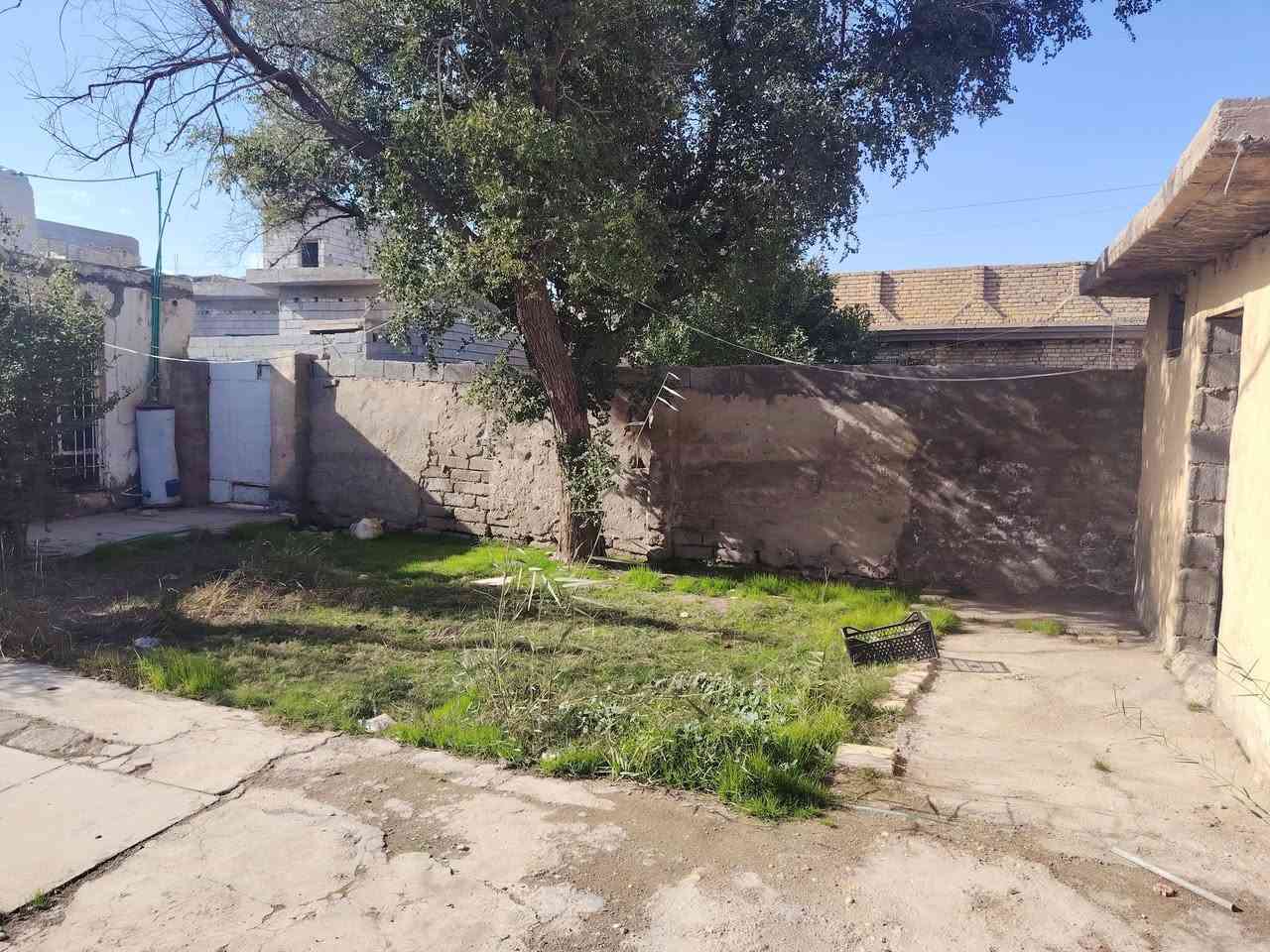 سلام عليكم بيت في الكوت حي الحكيم نزلت عميد جادر مساحته 320 مرقم من قبل البلديه باقي المعلومات
***********
