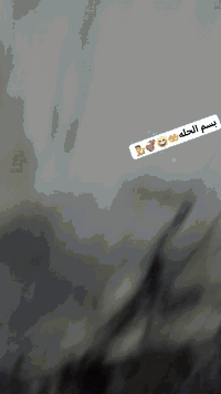 باسكل نضيف • موديل 2021 • ازرك فسفوري