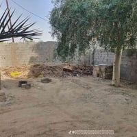 بني سأله • طابو زراعي • ٣ محلات مأجورة